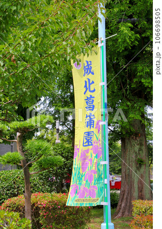 一級河川淀川の近くに位置する城北公園の菖蒲園 城北菖蒲園 を示す幟 一級河川淀川の近くに位置する城北公園の菖蒲園 城北菖蒲園 を示す幟 106698505