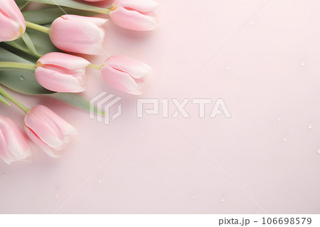 Pastel tulip flower in drops of water close-up for background.GenerativeAI. 106698579
