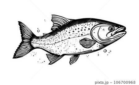 hand sketch Vector isolated on white background. Hand drawn retro icon, vintage ink engraving art. Black line drawing of red fish emblem. Salmon seafood, healthy organic food symbol hand sketch Vector isolated on white background. Hand drawn retro icon, vintage ink engraving art. Black line drawing of red fish emblem. Salmon seafood, healthy organic food symbol 106700968