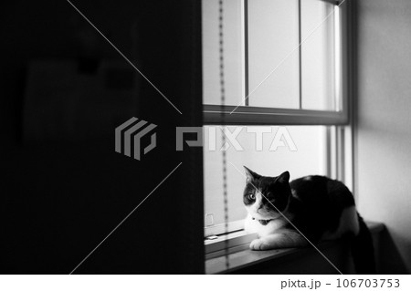 106703753 PIXTA 106703753-pixta