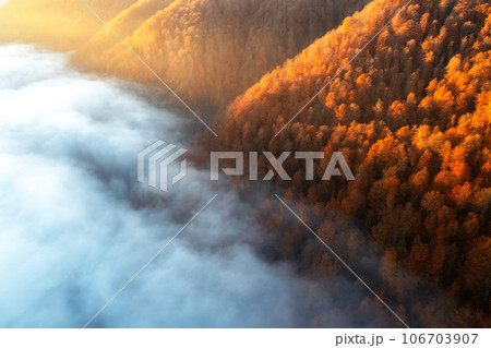 Aerial view of mountains in low clouds at sunrise in autumn Aerial view of mountains in low clouds at sunrise in autumn 106703907