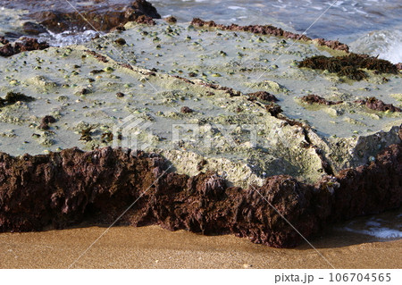 Texture of stones and mountain rocks in a city park in Israel. 106704565