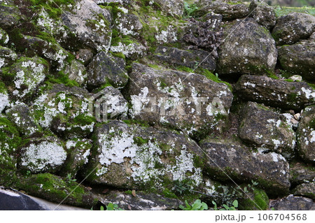Texture of stones and mountain rocks in a city park in Israel. 106704568