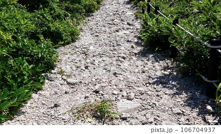 新島の石山トレッキングコース 106704937