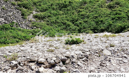 新島の石山トレッキングコース 106704941