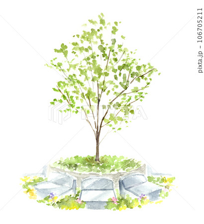 樹木葬のイメージ　水彩画 106705211