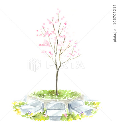 桜の木の樹木葬　水彩画 106705212
