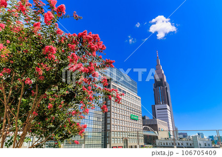 東京 新宿区 新宿の夏空 東京 新宿区 新宿の夏空 106705409