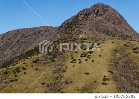 箱根・矢倉沢峠付近から見る金時山 箱根・矢倉沢峠付近から見る金時山 106705588