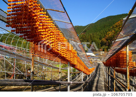 四郷の吊し柿 106705705