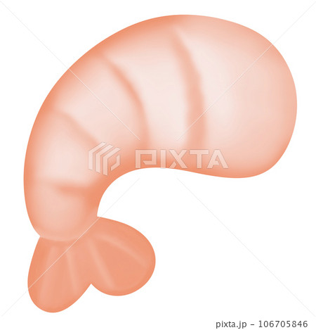 Shrimp Shrimp 106705846