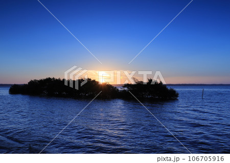 朝日に輝く湖上の樹林 106705916