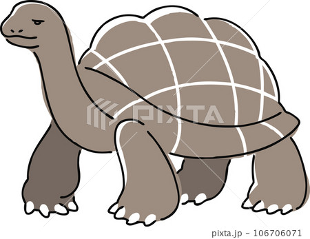 手描きのゾウガメのイラスト 106706071