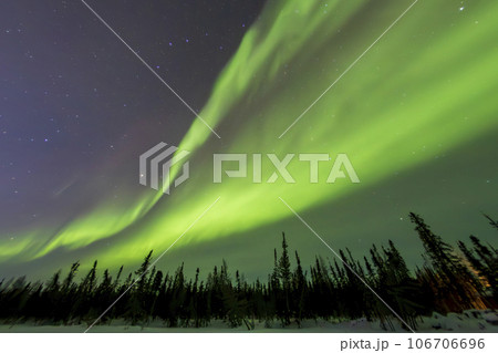 イエローナイフの星空とオーロラ 106706696