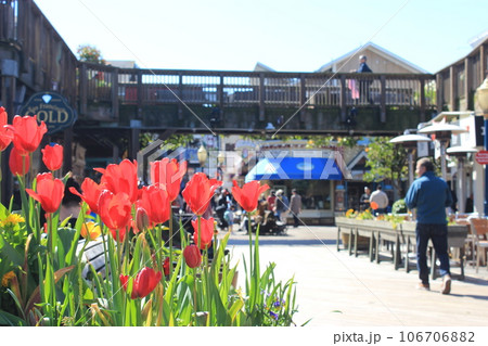 世界一美しい街!サンフランシスコのおすすめ観光スポット ゴールデンゲートブリッジ、アルカトラズ、ピア 世界一美しい街!サンフランシスコのおすすめ観光スポット ゴールデンゲートブリッジ、アルカトラズ、ピア 106706882