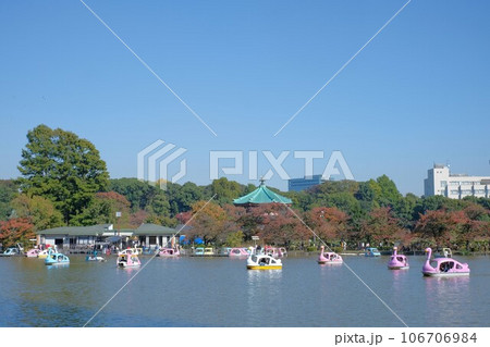 不忍池のボート 不忍池のボート 106706984