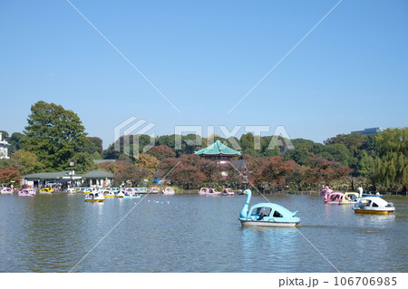 不忍池のボート 106706985