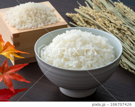 新米のイメージ。ごはん・米・稲穂。 新米のイメージ。ごはん・米・稲穂。 106707426