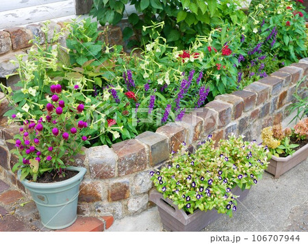 趣味のガーデニング花壇 趣味のガーデニング花壇 106707944