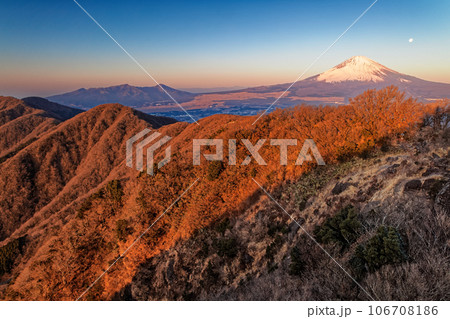 箱根・金時山から朝焼けの山並みと富士山 箱根・金時山から朝焼けの山並みと富士山 106708186