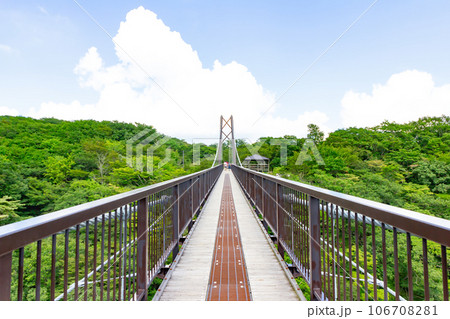 夏の那須つつじ吊橋 106708281