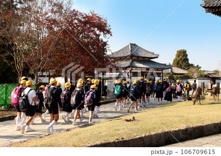 小学生の奈良修学旅行 106709615