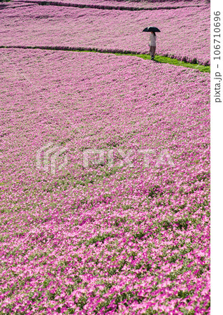 マザー牧場の桃色吐息 マザー牧場の桃色吐息 106710696