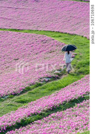 マザー牧場の桃色吐息 マザー牧場の桃色吐息 106710698