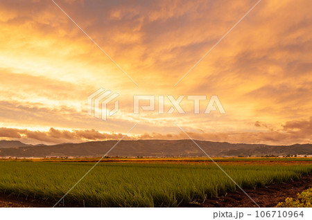 夕日に染まる田園風景 106710964