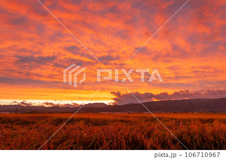 夕日に染まる田園風景 夕日に染まる田園風景 106710967
