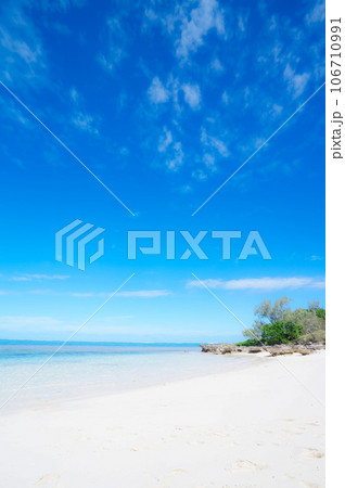ニューカレドニア ビーチ 106710991