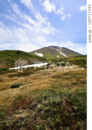 カムイミンタラ、神々の遊ぶ庭、大雪山、旭岳ロープウェイ、初夏の北海道、七月、旭岳は地球上のキャンパス 106711443