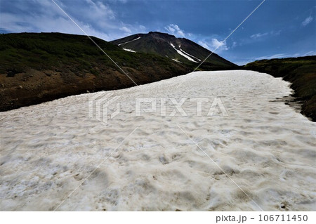 カムイミンタラ、神々の遊ぶ庭、大雪山、旭岳ロープウェイ、初夏の北海道、七月、旭岳は地球上のキャンパス 106711450