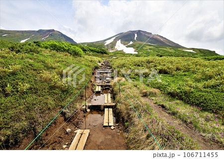 カムイミンタラ、神々の遊ぶ庭、大雪山、旭岳ロープウェイ、初夏の北海道、七月、旭岳は地球上のキャンパス 106711455