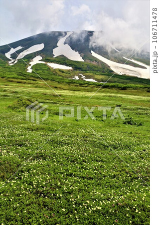 カムイミンタラ、神々の遊ぶ庭、大雪山、旭岳ロープウェイ、初夏の北海道、七月、旭岳は地球上のキャンパス カムイミンタラ、神々の遊ぶ庭、大雪山、旭岳ロープウェイ、初夏の北海道、七月、旭岳は地球上のキャンパス 106711478