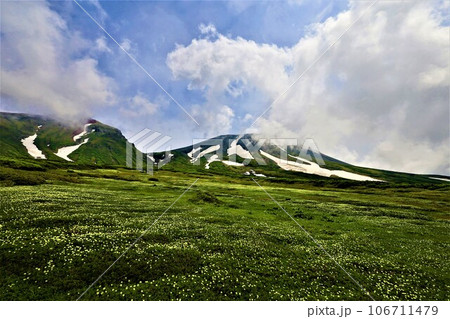 カムイミンタラ、神々の遊ぶ庭、大雪山、旭岳ロープウェイ、初夏の北海道、七月、旭岳は地球上のキャンパス カムイミンタラ、神々の遊ぶ庭、大雪山、旭岳ロープウェイ、初夏の北海道、七月、旭岳は地球上のキャンパス 106711479