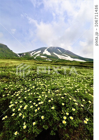 カムイミンタラ、神々の遊ぶ庭、大雪山、旭岳ロープウェイ、初夏の北海道、七月、旭岳は地球上のキャンパス カムイミンタラ、神々の遊ぶ庭、大雪山、旭岳ロープウェイ、初夏の北海道、七月、旭岳は地球上のキャンパス 106711486
