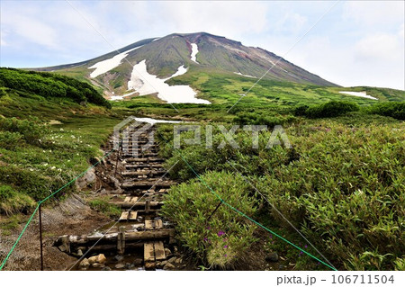 カムイミンタラ、神々の遊ぶ庭、大雪山、旭岳ロープウェイ、初夏の北海道、七月、旭岳は地球上のキャンパス 106711504