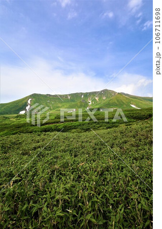 カムイミンタラ、神々の遊ぶ庭、大雪山、旭岳ロープウェイ、初夏の北海道、七月、旭岳は地球上のキャンパス カムイミンタラ、神々の遊ぶ庭、大雪山、旭岳ロープウェイ、初夏の北海道、七月、旭岳は地球上のキャンパス 106711698