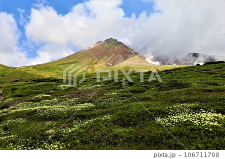 カムイミンタラ、神々の遊ぶ庭、大雪山、旭岳ロープウェイ、初夏の北海道、七月、旭岳は地球上のキャンパス カムイミンタラ、神々の遊ぶ庭、大雪山、旭岳ロープウェイ、初夏の北海道、七月、旭岳は地球上のキャンパス 106711708
