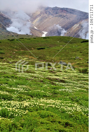 カムイミンタラ、神々の遊ぶ庭、大雪山、旭岳ロープウェイ、初夏の北海道、七月、旭岳は地球上のキャンパス 106711711