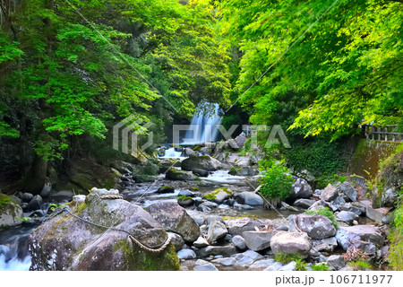 伊豆半島・中伊豆・河津七滝・河津川に鎮座する大願成就の拝み石と初景滝・静岡県河津町(2) 106711977