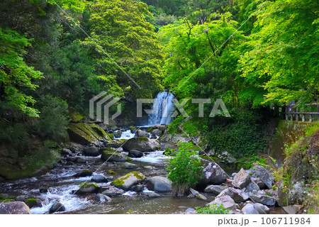 伊豆半島・中伊豆・河津七滝・涼しげな河津川の渓流、遊歩道、初景滝の眺め・静岡県河津町(3) 106711984