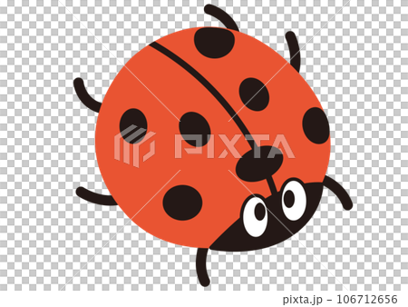 てんとう虫,昆虫,虫,虫取り,春,ナナホシテントウ,赤,秋,かわいい,生き物,夏休み,動物 106712656