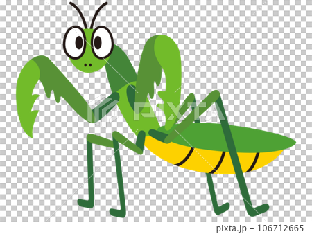 praying mantis, insect, insect, summer, animal, insect repellent, summer vacation, sickle, mantis, green, spring, breeding, creature, nature, organism, insect collecting praying mantis, insect, insect, summer, animal, insect repellent, summer vacation, sickle, mantis, green, spring, breeding, creature, nature, organism, insect collecting 106712665