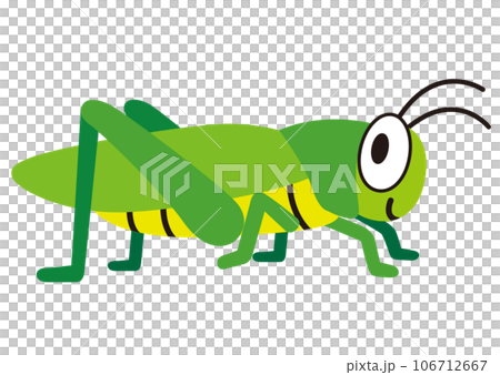 grasshopper, insect, insect, animal, summer, child, grasshopper, piggyback, parent and child, parent, nursery school, kindergarten 106712667