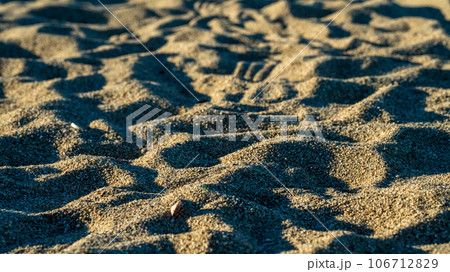 砂浜に残る足跡 106712829