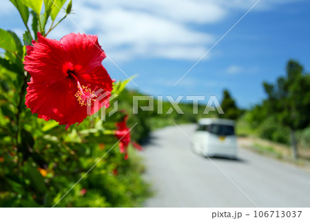 夏の沖縄ドライブ 106713037