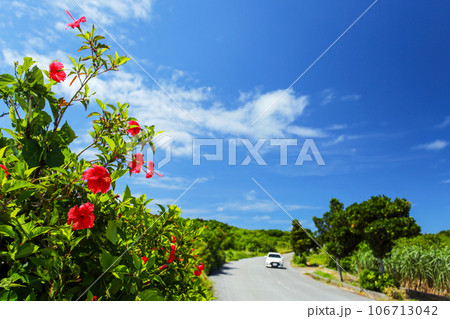 夏の沖縄ドライブ 106713042