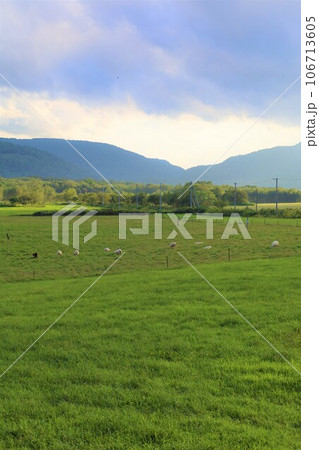 北海道、心安らぐ道北、美深町のファームイントントでオートキャンプを楽しむ夏、蕎麦畑でつかまえて 106713605